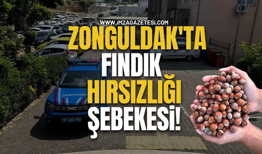 Zonguldak'ta Fındık Hırsızlığı Şebekesi!