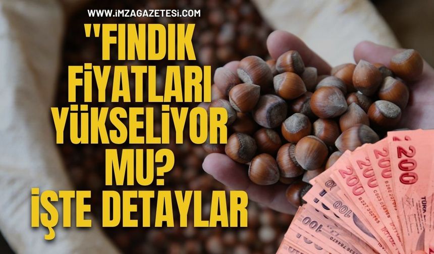 Fındık Fiyatları Yükseliyor Mu? İşte Detaylar...