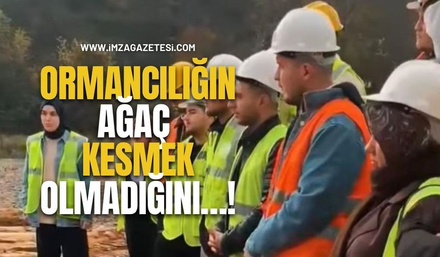 Ormancılığın Ağaç Kesmek Olmadığını…!