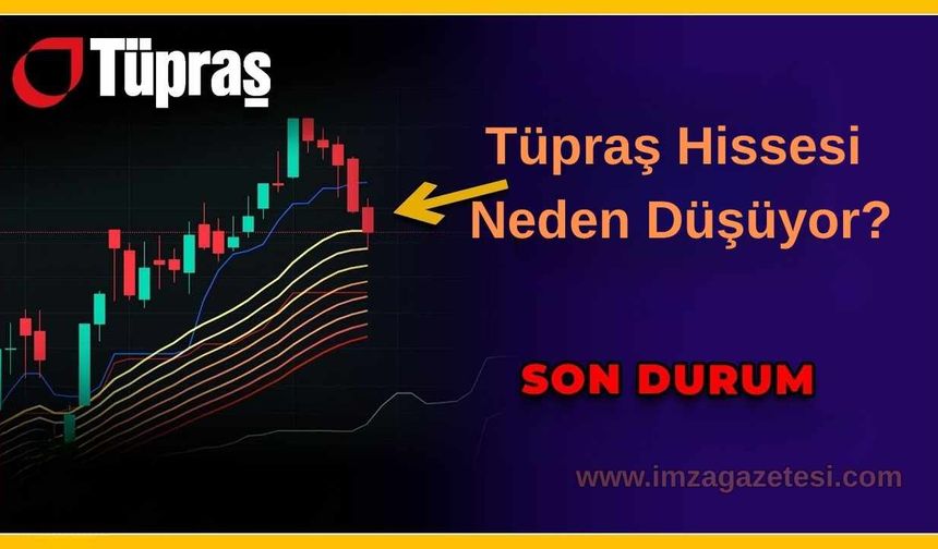 Tüpraş Hissesi Neden Düşüyor? 2025 Kasım