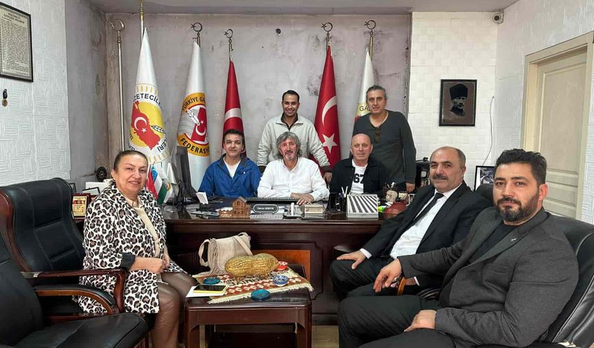 Türk Sağlık Sen 22 Kasım'da kongre yapacak!