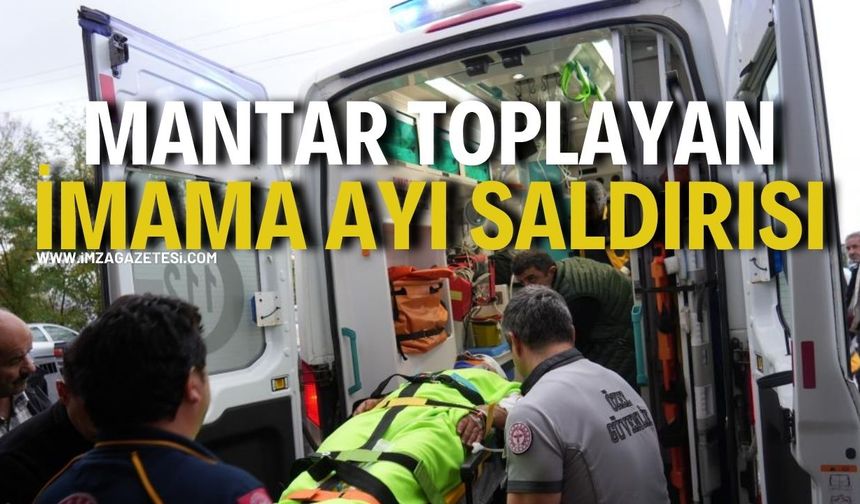 Mantar Toplayan İmama Ayı Saldırısı