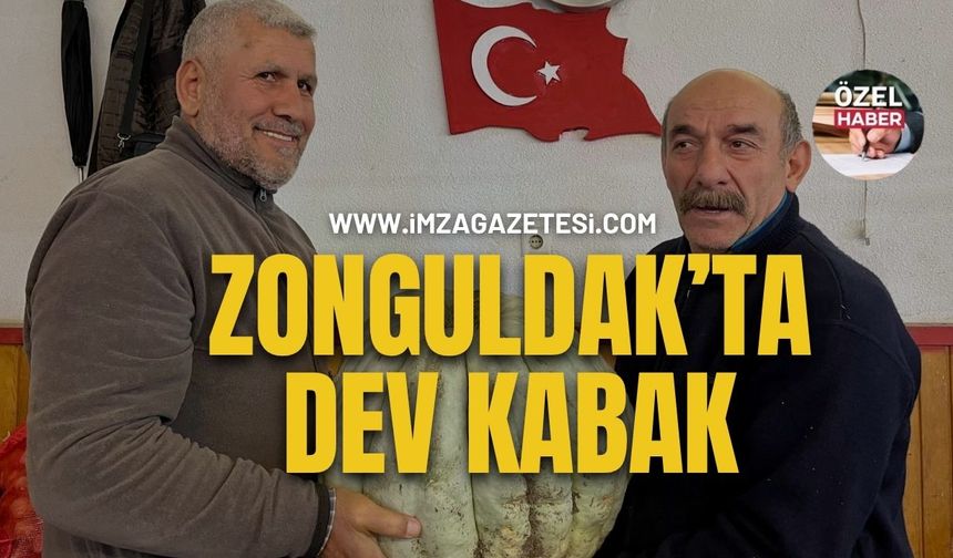 Zonguldak’taki Pazaryerinde Dev Bal Kabakları Tezgaha Taşındı!