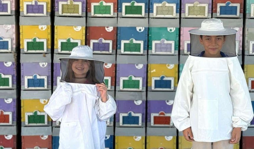 Zonguldak’ta O İlçedeki Öğrencilere Arıcılık…!