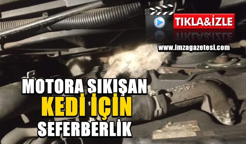 Motora Sıkışan Kedi İçin Seferberlik!