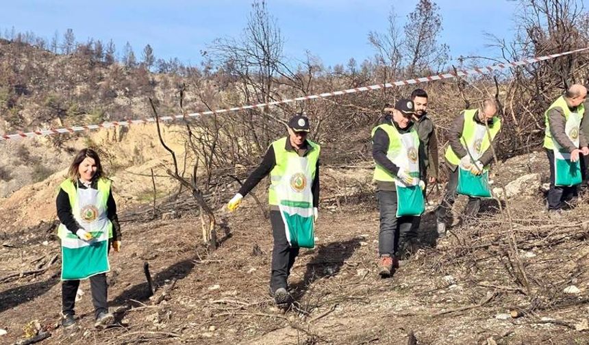 Yeşil Vatan Tohumları…