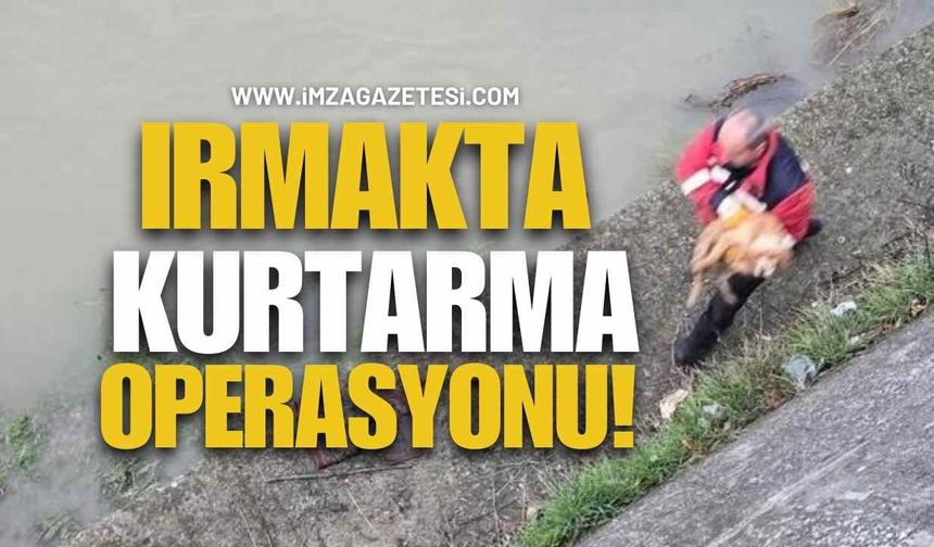 Irmakta Kurtarma Operasyonu!