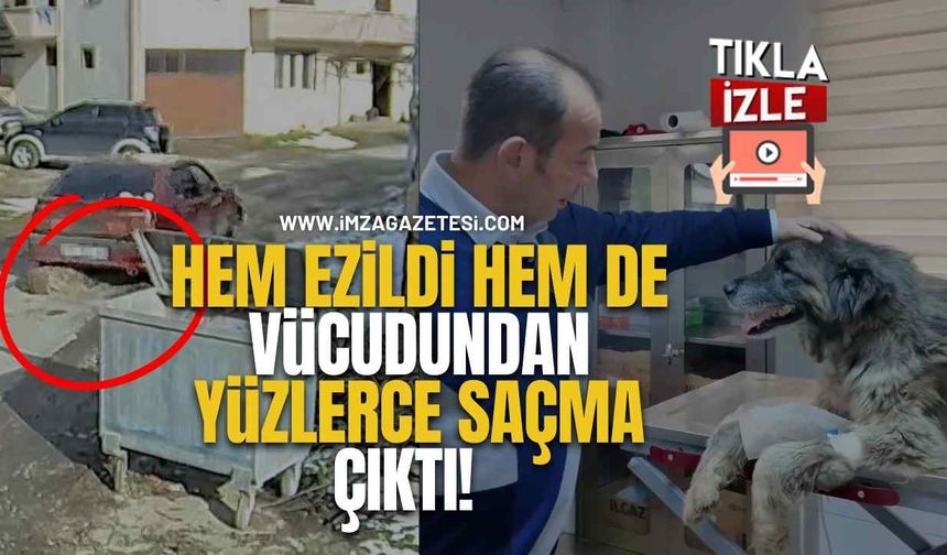 İnsanlık Dışı V*ahşet! Hem Ezildi Hem De Vücudundan Yüzlerce Saçma Çıktı!