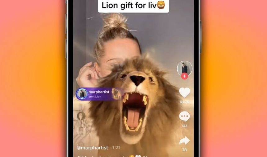 TikTok Aslan Kaç TL? Kazandırdığı güncel fiyatı 2026
