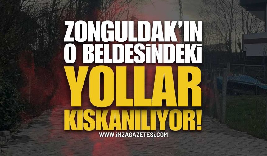 Zonguldak'ın O Beldesindeki Yollar Kıskanılıyor!
