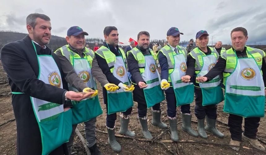 1 Milyar Tohum Toprakla Buluştu!