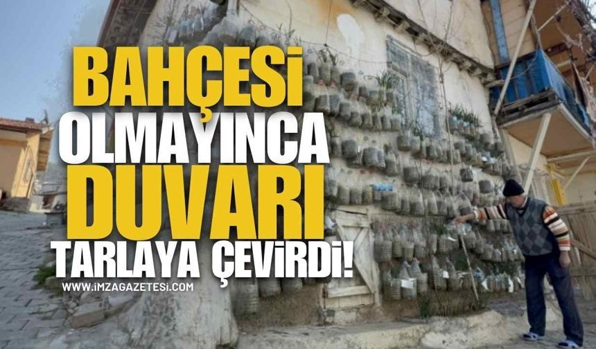 Bahçesi Olmayınca Duvarı Tarlaya Çevirdi!