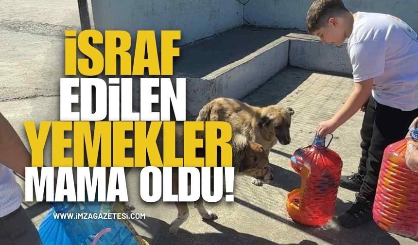 İsraf Edilen Yemekler Mama Oldu!