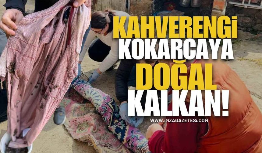 Komşuda Kahverengi Kokarcaya Doğal Kalkan!