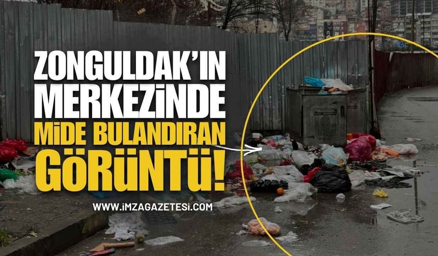 Zonguldak Merkezde Rezalet: Mide Bulandıran Görüntü!