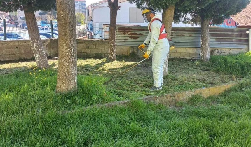 Beldede Yoğun Mesai!