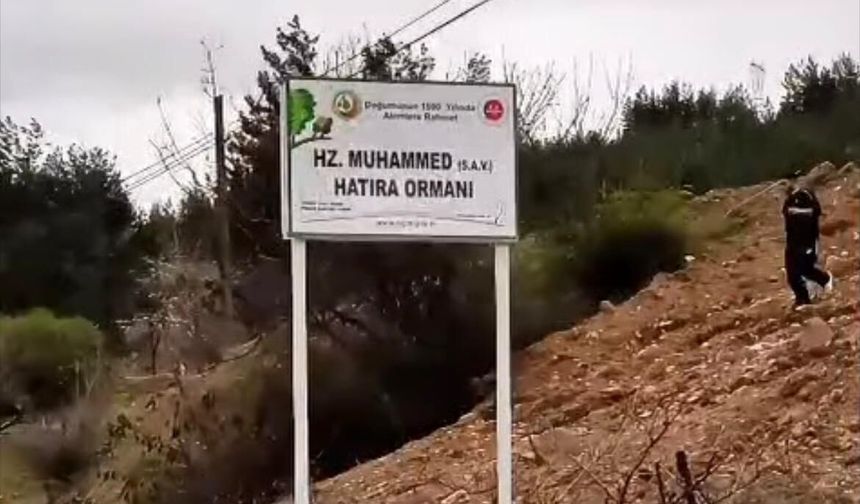 Komşuda Hz. Muhammed (SAV) Hatıra Ormanı!