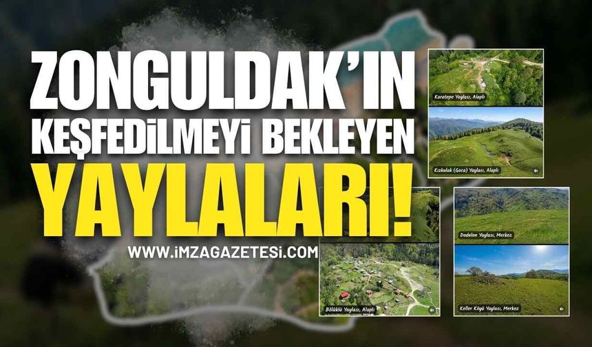 Zonguldak’ın Keşfedilmeyi Bekleyen Yaylaları!