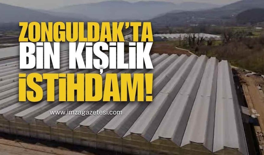 Zonguldak’ta 1000 Kişilik İstihdam!