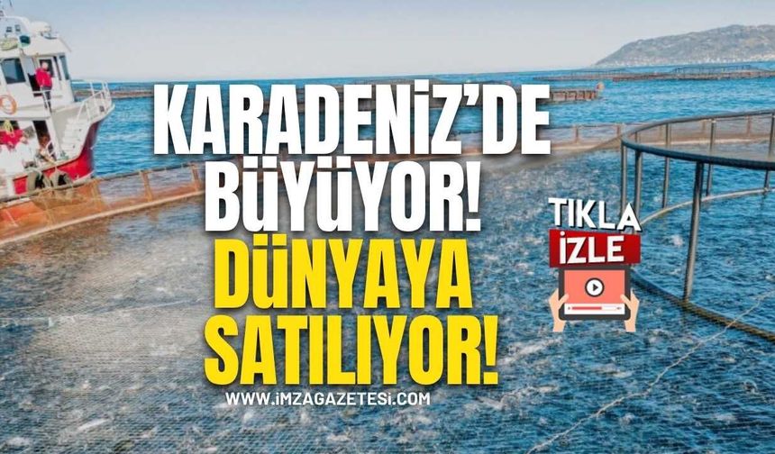 Karadeniz’de Büyüyor, Dünyaya Satılıyor!