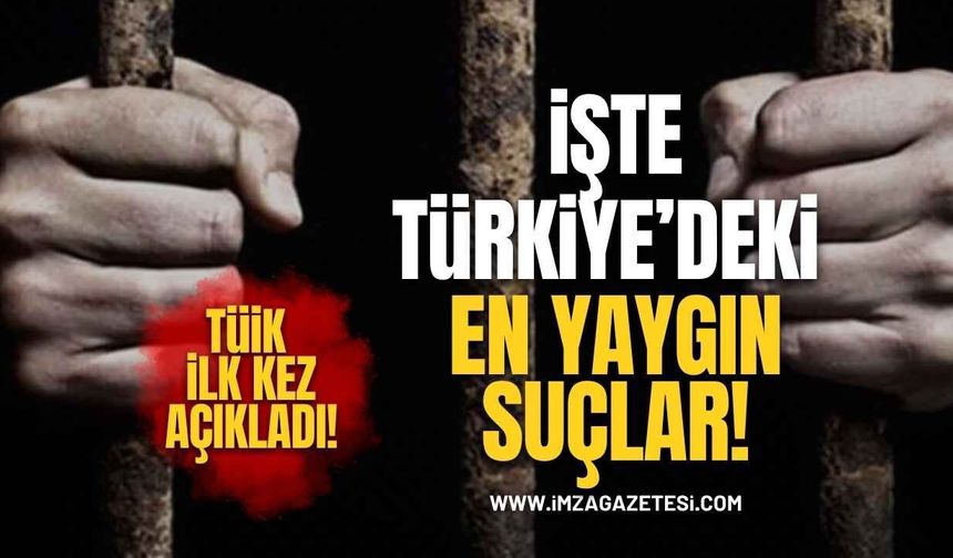 TÜİK İlk Kez Açıkladı! Türkiye’de En Yaygın Suçlar Ortaya Çıktı!