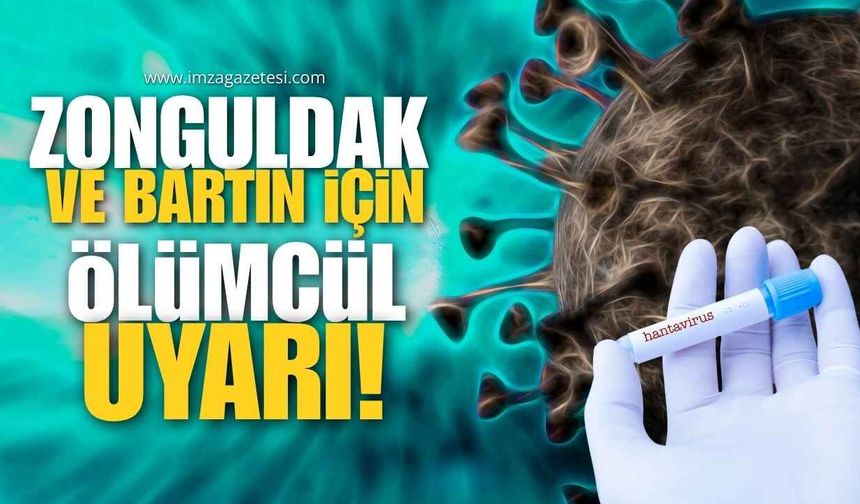 Zonguldak Ve Bartın İçin Ölümcül Uyarı! Hantavirüs Tehlikesi!