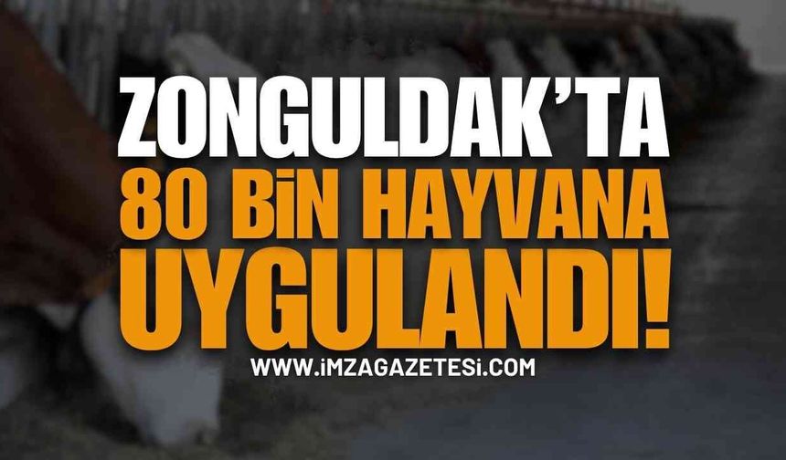 Zonguldak’ta 80 Bin Hayvana Uygulandı!