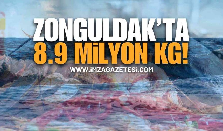 Zonguldak’ta 8.9 Milyon Kilogram Deniz Ürünü! | Zonguldak haber