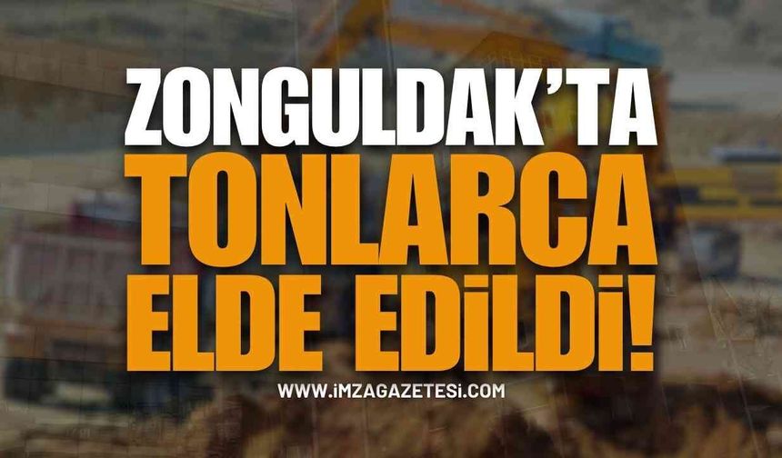 Zonguldak’ta Tonlarca Elde Edildi! | Zonguldak haber