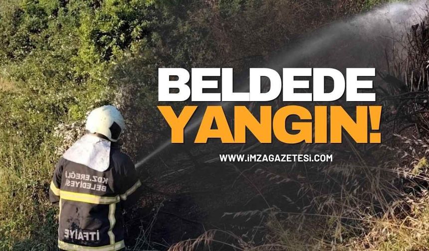 Beldedeki Yangın Kontrol Altında!