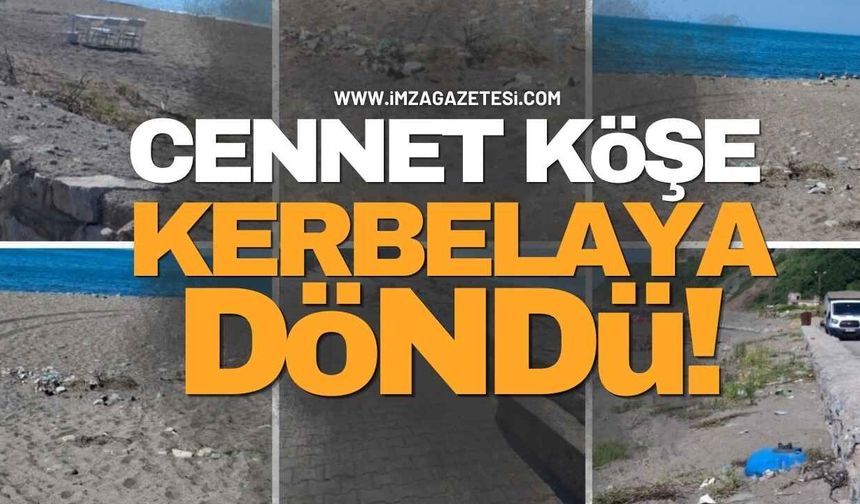 Cennet Köşe Kerbelaya Döndü! Göbü Sahili Susuzluktan Kırılıyor!