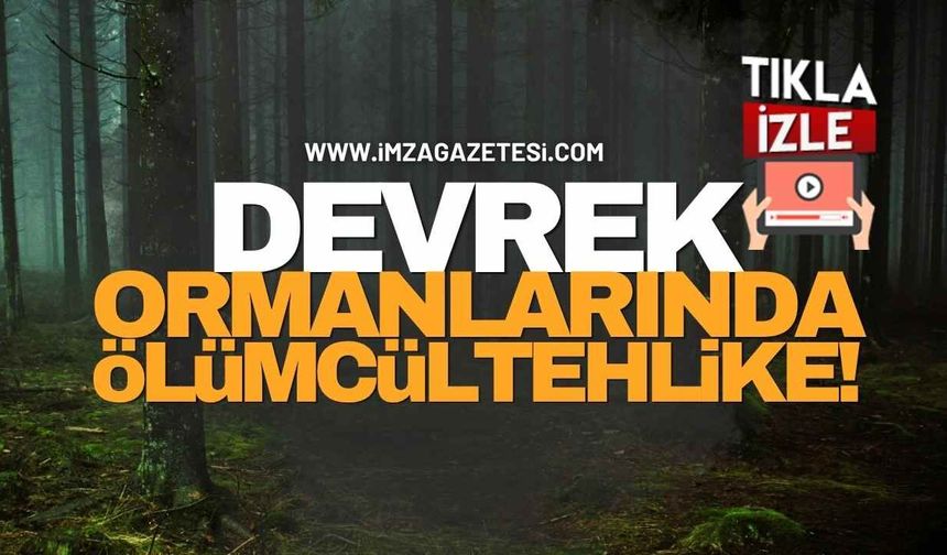 Devrek Ormanlarında Ölümcül Tehlike!