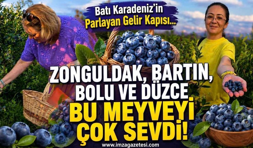 Batı Karadeniz'in Parlayan Gelir Kapısı... Zonguldak, Bartın, Bolu ve Düzce Bu Meyveyi Çok Sevdi!