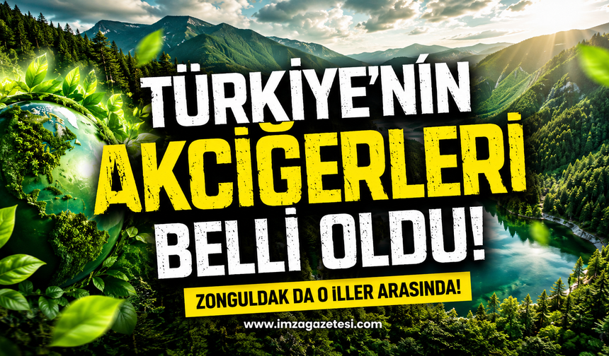 Türkiye'nin Akciğerleri Belli Oldu! Zonguldak da O İller Arasında!