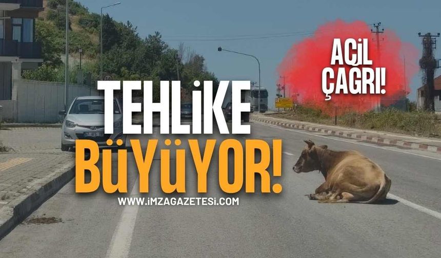 Vatandaşlardan Yetkililere Acil Çağrı! Tehlike Büyüyor!
