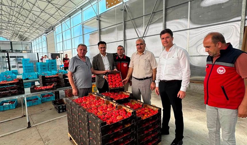 Bölge Tarımı İçin Çaycuma Sera OTB'de Üst Düzey Zirve