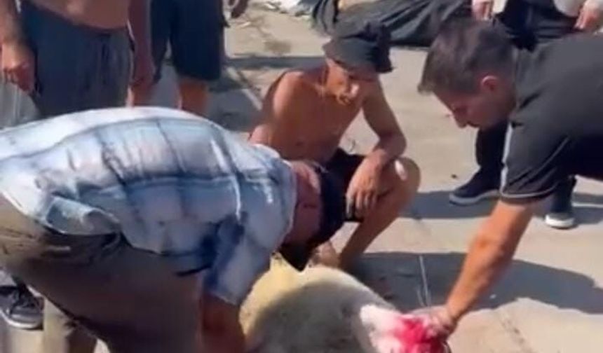 Kozlu’da Balıkçılardan Sezon Öncesi Kurbanlı Dua
