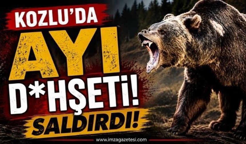 Kozlu’da Ayı D*hşeti! Saldırdı!