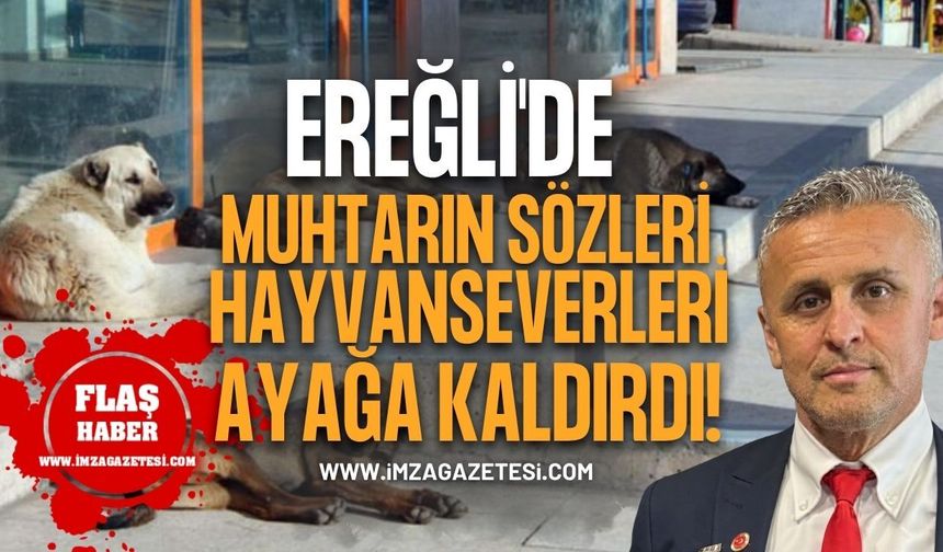 Ereğli'de Muhtarın Sözleri Hayvanseverleri Ayağa Kaldırdı!