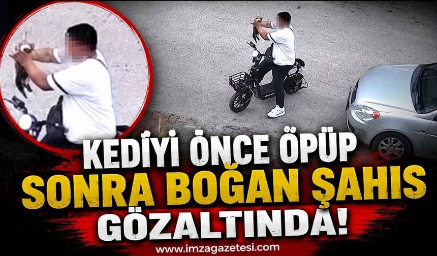 Kediyi Önce Öpüp Sonra Boğan Şahıs Gözaltında!