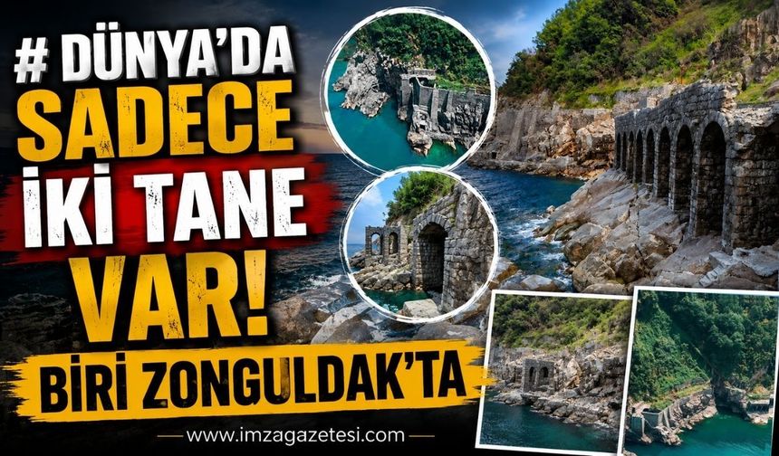 Dünya’da sadece iki tane var! Biri Zonguldak’ta