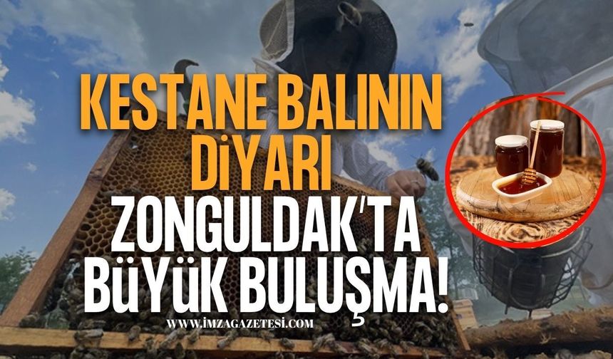 Kestane Balının Diyarı Zonguldak'ta Büyük Buluşma!
