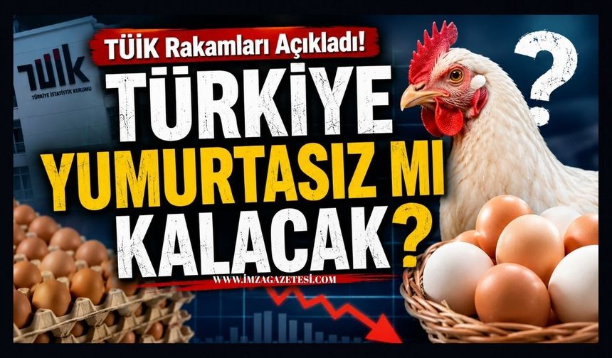 TÜİK Rakamları Açıkladı! Türkiye Yumurtasız Mı Kalacak?
