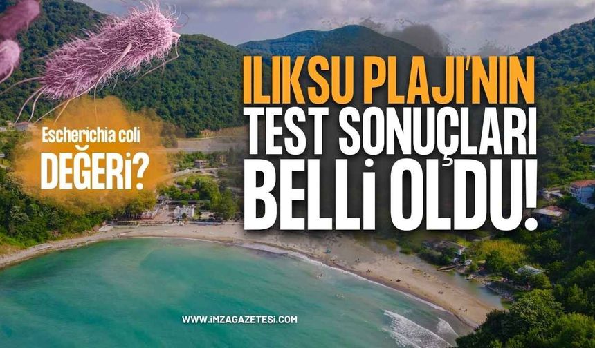 Zonguldak Kozlu Ilıksu Plajı Deniz Suyu Analizi Sonuçlandı: Denize Girmek Güvenli mi?