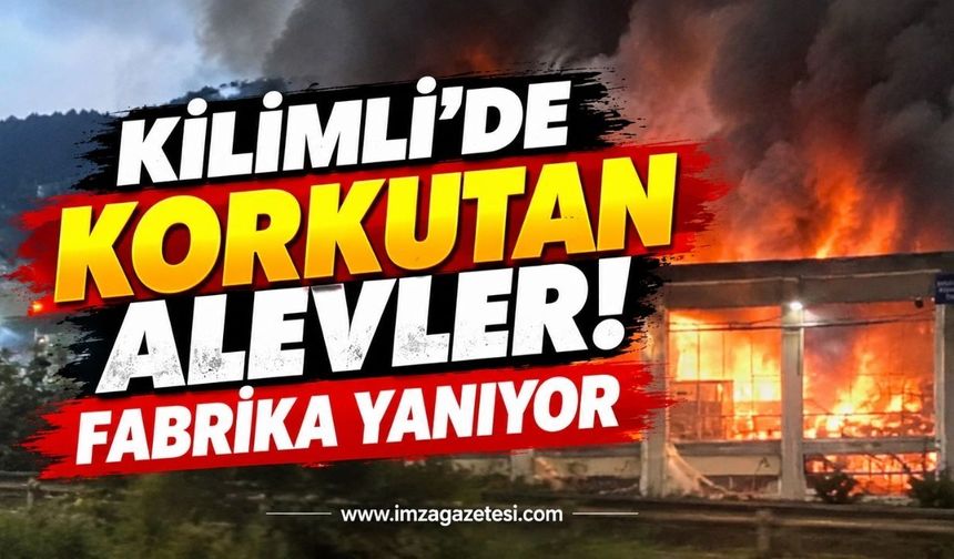 Kilimli'de Korkutan Alevler! Fabrika Yanıyor