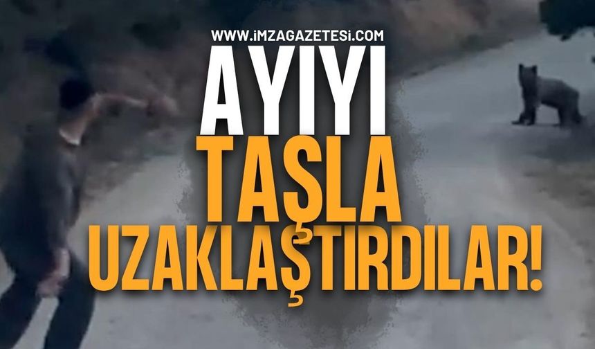 Karşılarına Çıkan Ayıyı Taşla Uzaklaştırdılar: O Anlar Kamerada