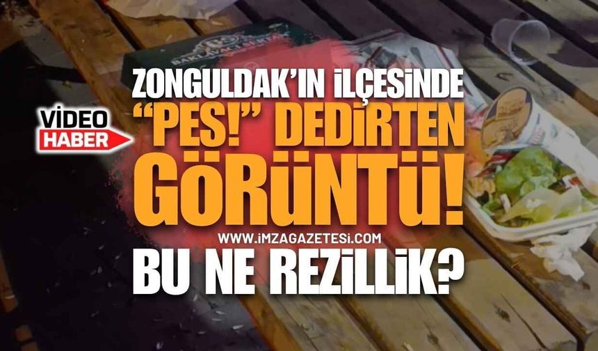 Kilimli'de Pes Dedirten Görüntü: Kamelyayı Çöplüğe Çevirip Gittiler!