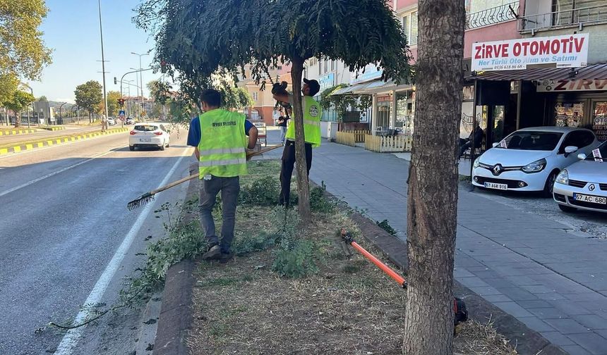 Devrek Belediyesi'nden Hummalı Çalışma!