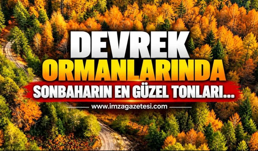 Devrek Ormanlarında Sonbaharın En Güzel Tonları…