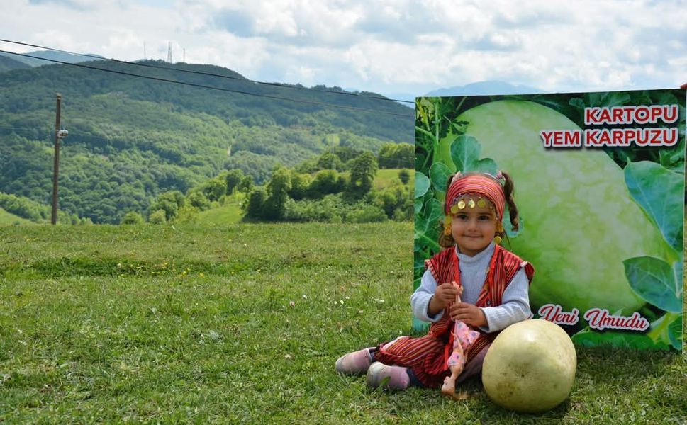 Zonguldak'ta Tarımsal Geleceğin Yeni Gözdesi: Yerli Yemlik "Kartopu"